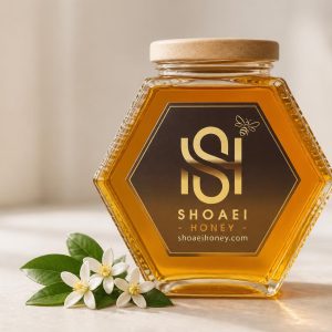 asal-morakabat