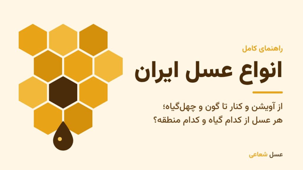 انواع عسل ایران؛ راهنمای عسل‌های آویشن، کنار، گون و چهل‌گیاه